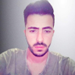 Hichem Hamdi