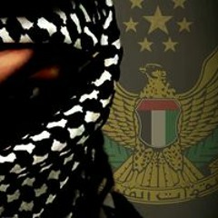 Mostafa Mnsoar
