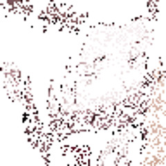 Kingyxz