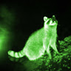 Glowing Green Raccoon