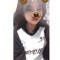 Minhh Anhh