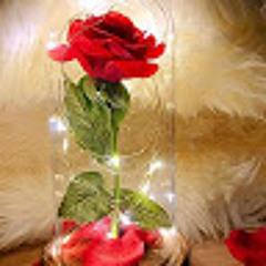 Rizwana.waqas27