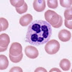 2He