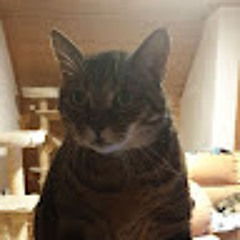 Thomas “PeterPan” -XX