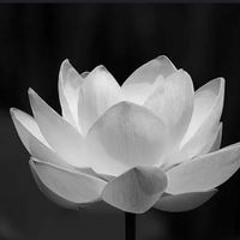 Nguyễn An
