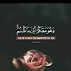 User 763470734