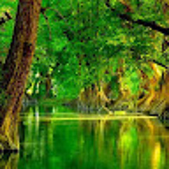 Станіслав Радченко