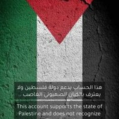 محمد عاطف الملك