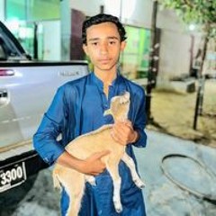 Jalil Baloch