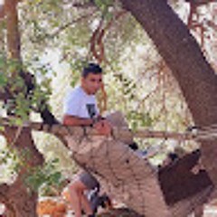 מוטי זיתון