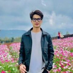 Tú Phan
