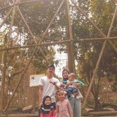 Alvinsetiadi140899