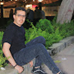 Mohannad Hany
