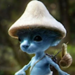 Muhammad Farrel Rabbani