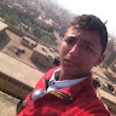 Mohamed showket