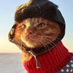 Саша Войнич