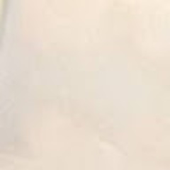 антон полков