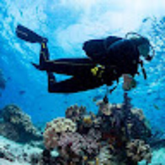 Juanba Chaparro Cancelos