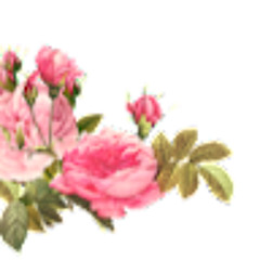 Ife Valentine