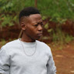 Theo Ginindza