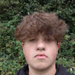 Jacob Bellew