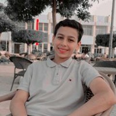 Omar Mohamed Mahmoud Mohamed