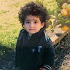 Ali dirani