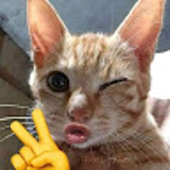 làm chó Đọc được