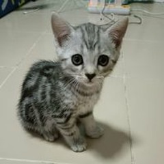 ใครไม่ทอด แต่ หอยทอดดด'