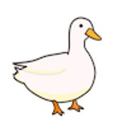 오리덕