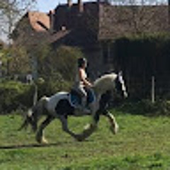 Natty Louise Boetsch