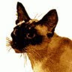 Perfect TELEKINESIS PSYCHOKINESIS SUBLIMINAL AFFIRMATION. (INFINITY BOOSTED)