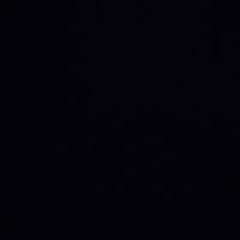 신성령