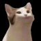 cat pop