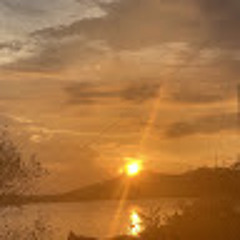 Sơn Vũ Hải