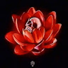 user898617033