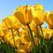 User 220046268
