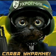 Саша Кот