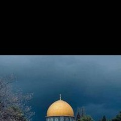 احذيه حمزه حمزه