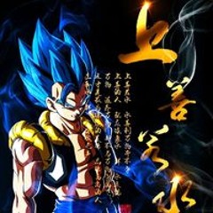 Steven Raiden DS Ducout