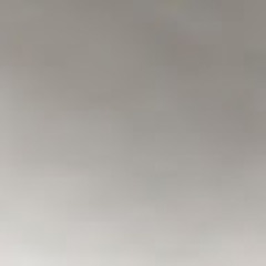 hon