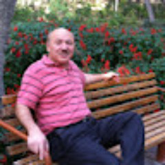 Mark Saebi