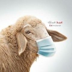 Amani Ezaat Abdelwahab