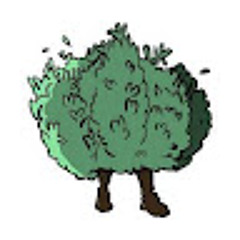 eRaZe Bush