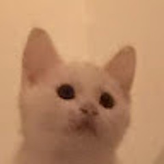 杨哲伦