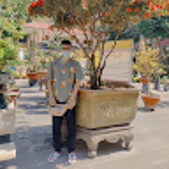 Tú Trần