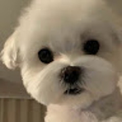 은진