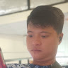 viet le trung