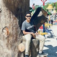 Mohamed H Awad