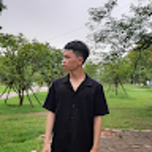 Trần Mạnh Hùng 2’s avatar